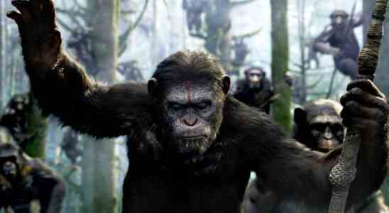 La production du royaume de la planète des singes se termine avec une célébration des singes CGI non rendue