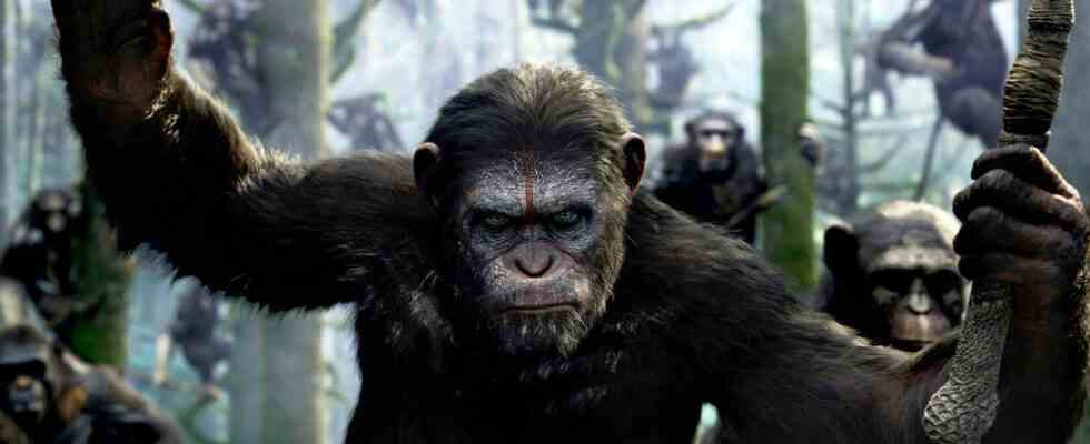 La production du royaume de la planète des singes se termine avec une célébration des singes CGI non rendue