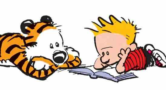 Le créateur de Calvin & Hobbes revient après 28 ans avec un livre illustré "pour adultes"