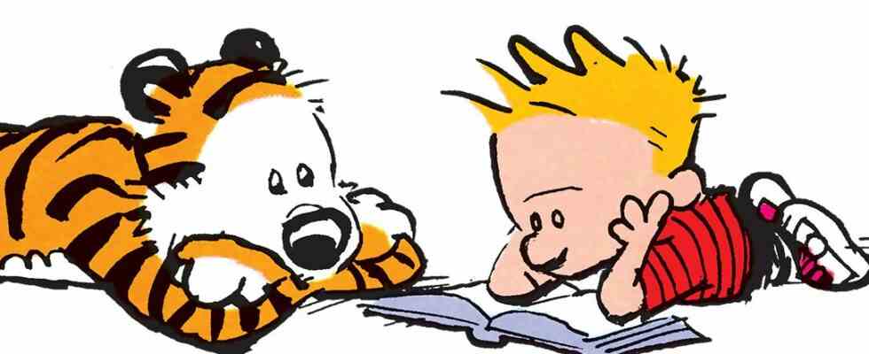 Le créateur de Calvin & Hobbes revient après 28 ans avec un livre illustré "pour adultes"