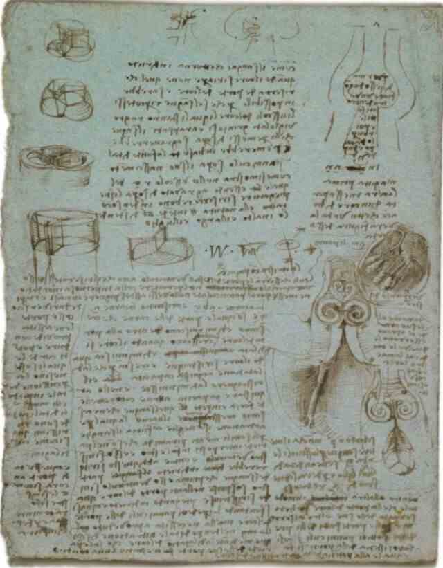 Esquisses et descriptions de l'anatomie du cœur humain de Léonard de Vinci.