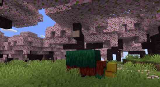 Minecraft présente le nouveau biome Cherry Blossom et Sniffer Mob à partir de la mise à jour 1.20 dans les bandes-annonces