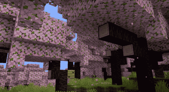 Oh, être une abeille bourdonnante dans le nouveau biome des fleurs de cerisier de Minecraft