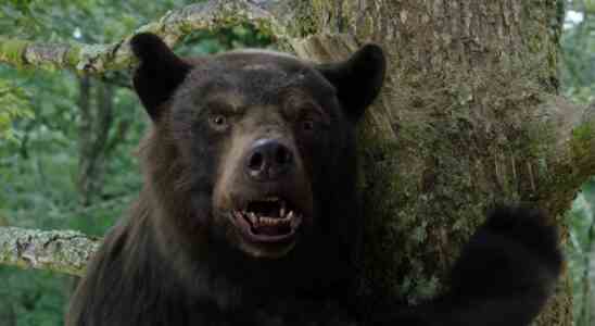 Rencontrez l'homme derrière l'ours dans l'ours cocaïne d'Elizabeth Banks [Exclusive Interview]