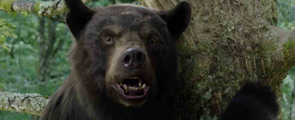 Rencontrez l'homme derrière l'ours dans l'ours cocaïne d'Elizabeth Banks [Exclusive Interview]
