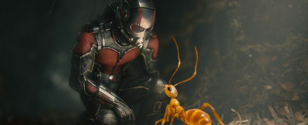 Les films Ant-Man ont eu une grande et mauvaise influence sur le MCU