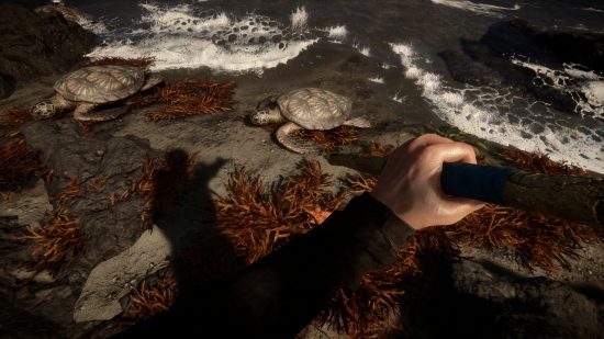 Sons of the Forest - le joueur pointe une lance sur une tortue sur une plage