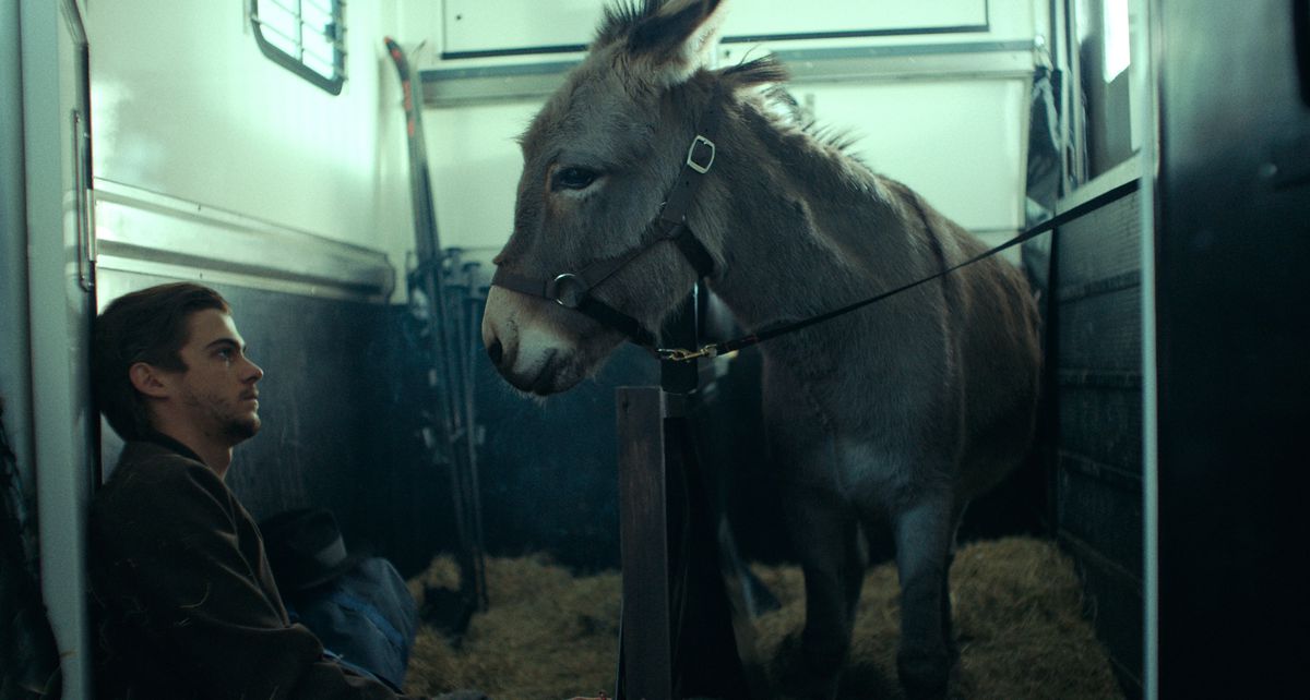 EO, l'âne protagoniste du candidat aux Oscars 2023 EO, traîne dans une remorque à chevaux avec un homme aux cheveux noirs qui le regarde profondément dans les yeux