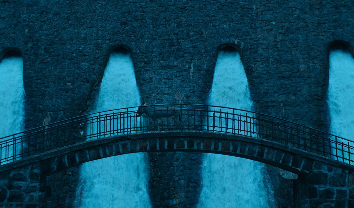 EO, l'âne protagoniste du candidat aux Oscars 2023 EO, traverse un pont voûté devant un vaste barrage déversant de l'eau blanche mousseuse à partir d'une série de déversoirs