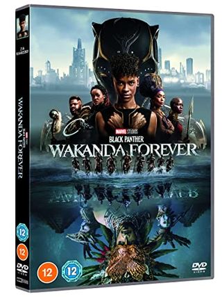 Panthère noire : Wakanda pour toujours [DVD]
