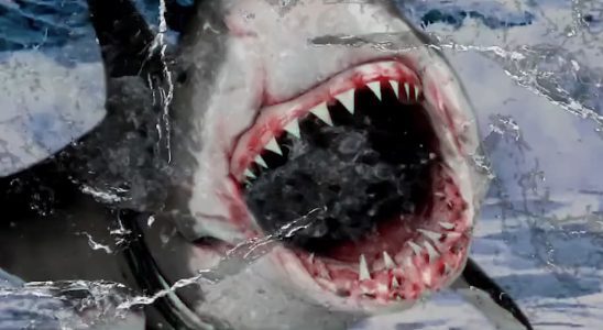 Le réalisateur de The Room, Tommy Wiseau, a fait un nouveau film sur les requins, ou peut-être… une pub de sous-vêtements ?