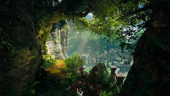 Une vue d'une forêt elfique
