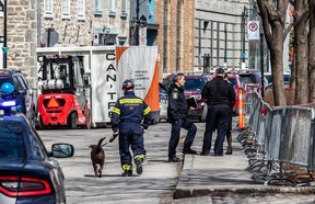 Des chiens de recherche ont été utilisés le 27 mars, sur les lieux d'un immeuble qui avait brûlé dans le Vieux-Montréal et ont permis de retrouver les deux derniers corps.