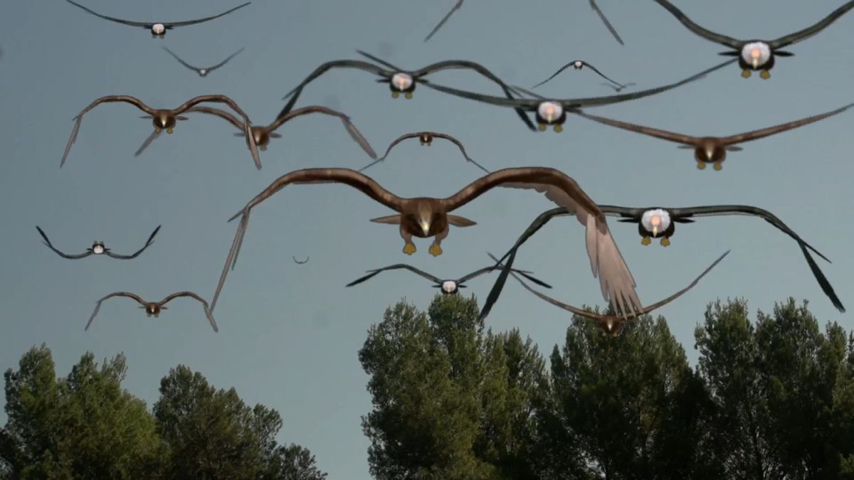 Plusieurs « oiseaux » volent vers l'écran dans Birdemic 2 : La Résurrection