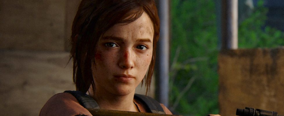 Les meilleurs paramètres de Last of Us sur PC