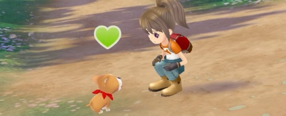 Hands On: Story Of Seasons: A Wonderful Life - The Harvest Moon GameCube Classic revient sur Switch