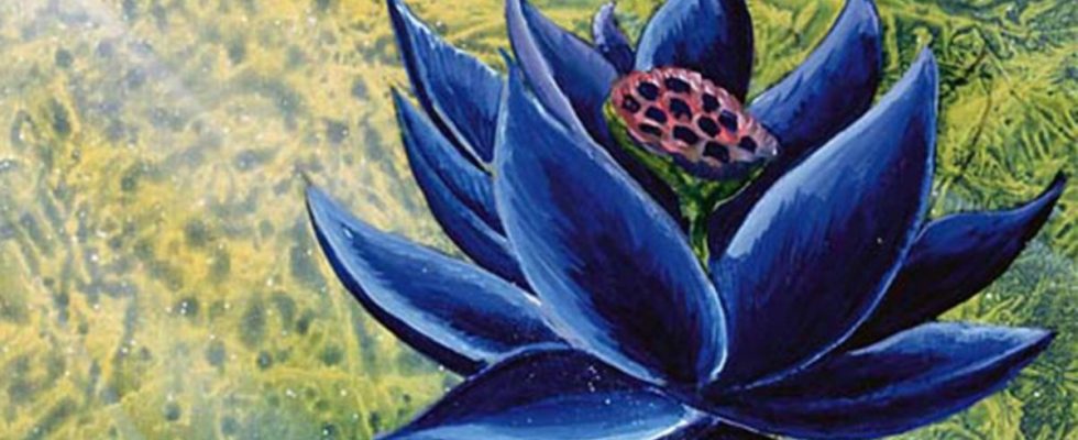 La carte Magic: The Gathering Black Lotus se vend pour un record de 540 000 $