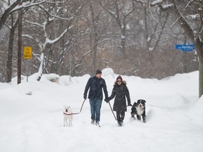 Des gens et leurs chiens traversent le quartier du Vieil Ottawa-Est d'Ottawa, le samedi 4 mars 2023.