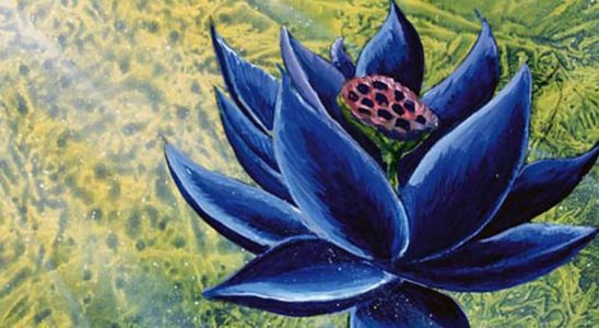Le très convoité Black Lotus de Magic: The Gathering bat un nouveau record