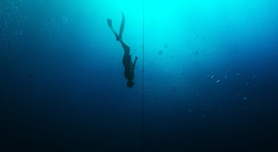 Netflix poursuivi pour un film "sans limite" qui suggère qu'un plongeur libre a tué sa femme
