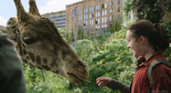 Ellie feeding a giraffe in The Last of Us on HBO