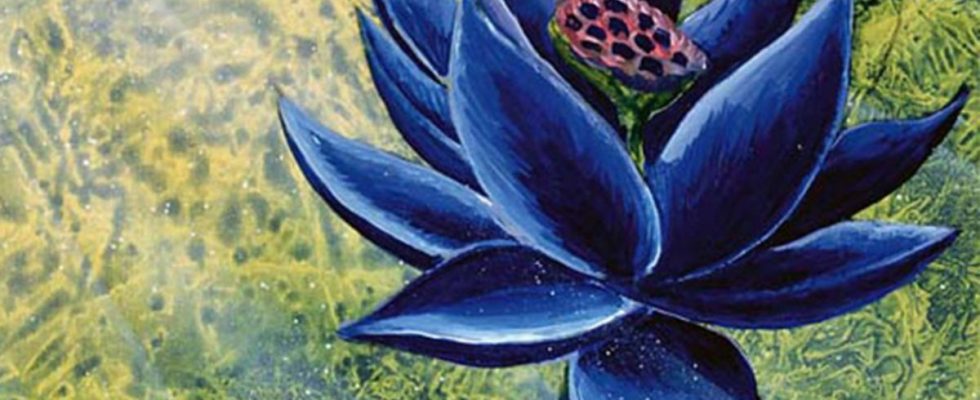 Rare Magic: The Gathering Black Lotus mis aux enchères, le dernier vendu à plus de 500 000 $
