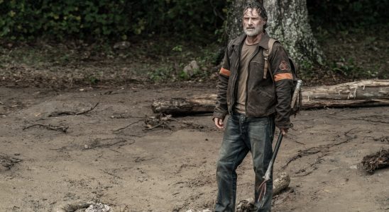 Andrew Lincoln as Rick Grimes - The Walking Dead _ Season 11, Episode 24