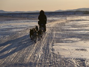 DOSSIER – Le musher vétéran Aaron Burmeister roule sur un tronçon de sentier principalement recouvert de glace pendant l'Iditarod Trail Sled Dog Race, alors qu'il atteint Unalakleet, Alaska, le 13 mars 2022.