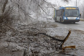 Déviations de la circulation autour des branches tombées sur le boul. Saint-Charles.  à Beaconsfield, à l'ouest de Montréal le jeudi 6 avril 2023 après qu'une tempête de verglas a frappé la ville la veille.