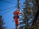 Les équipes de Holland Power Services ont travaillé pour couper une ligne électrique sous tension qui était en panne dans l'arrière-cour d'une maison de la région de McKellar Heights, le samedi 8 avril 2023. 