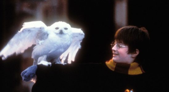 La nouvelle série Harry Potter de HBO devra se battre pour sa pertinence