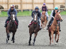 Hastings Racecourse 2023 : le renouveau des courses de chevaux en l'honneur de feu Glen Todd