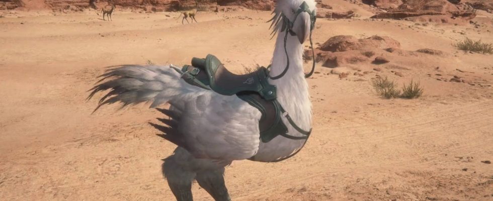 De nouvelles vidéos de Final Fantasy XVI montrent Chocobo et Torgal