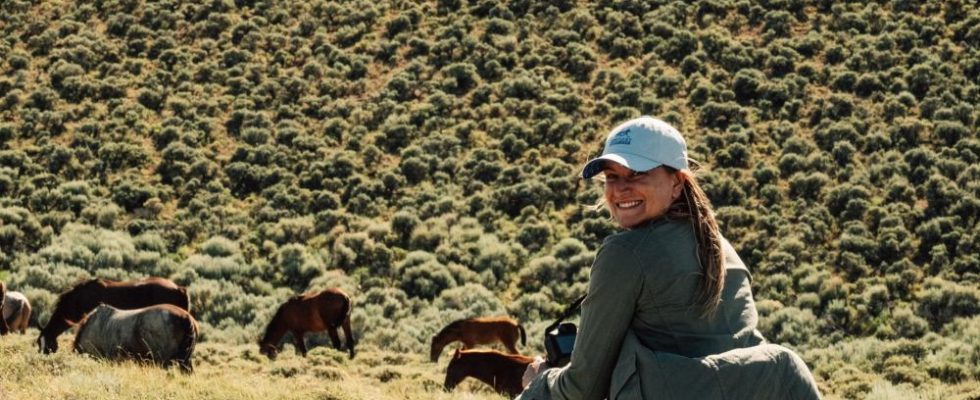 Gravitas Ventures achète le documentaire d'Ashley Avis « Wild Beauty : Mustang Spirit of the West » (EXCLUSIF)