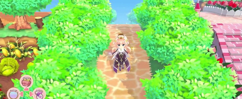 La jolie princesse Magical Garden Island sera lancée le 22 juin dans l'ouest