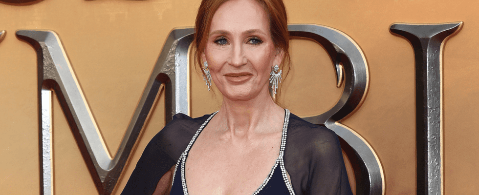 Le PDG de HBO qualifie la controverse de JK Rowling sur la transphobie de "conversation très en ligne" avant le redémarrage de Harry Potter Max
