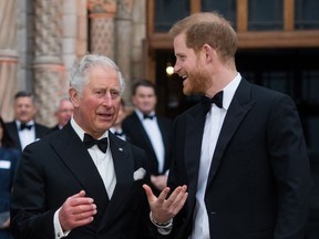 Le roi Charles et le prince Harry assistent à la première de Our Planet à Londres, en Angleterre, le 4 avril 2019.