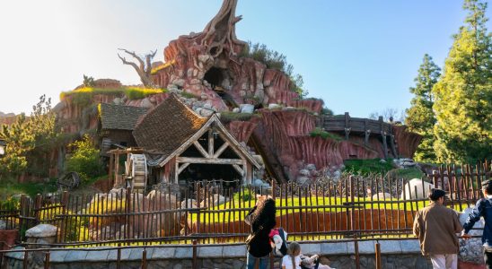 Splash Mountain de Disneyland ferme également, avec une date finale en mai