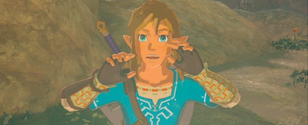 On dirait qu'il y a déjà un jeu mobile déchirant Zelda : Tears Of The Kingdom