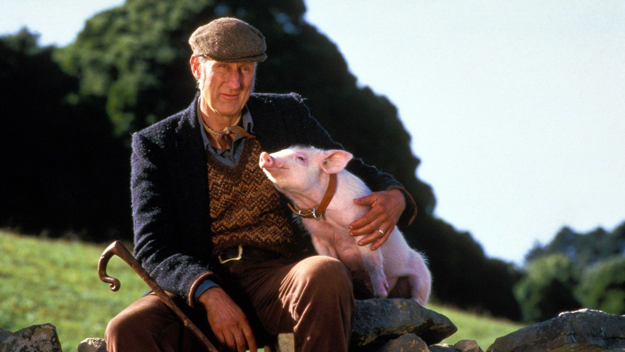 James Cromwell est assis avec Babe le cochon