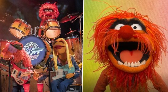 5 minutes avec The Muppets : Notre interview complètement chaotique avec Animal et Floyd Pepper pour The Muppets Mayhem