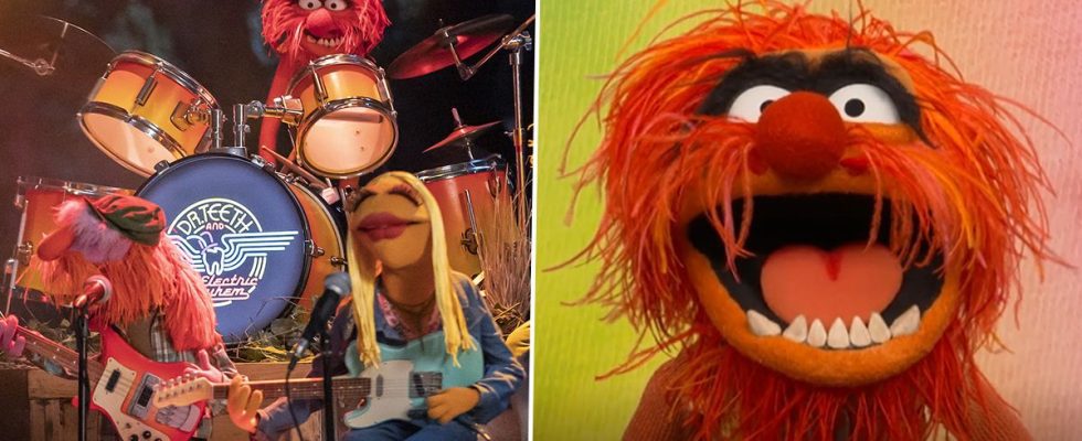 5 minutes avec The Muppets : Notre interview complètement chaotique avec Animal et Floyd Pepper pour The Muppets Mayhem