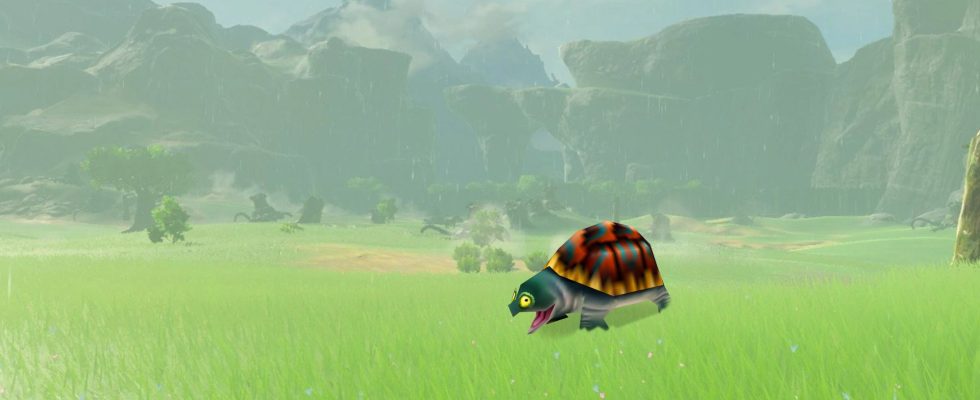 lil turtle in totk