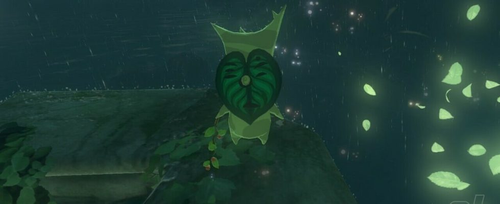 Zelda : Les larmes du royaume : Lanayru Korok Seeds