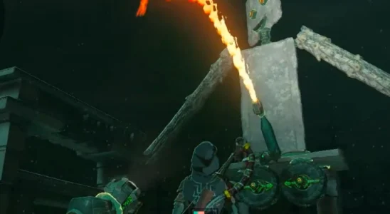 The Legend of Zelda: Tears of the Kingdom fire flamethrower penis funny viral video clip player made construction