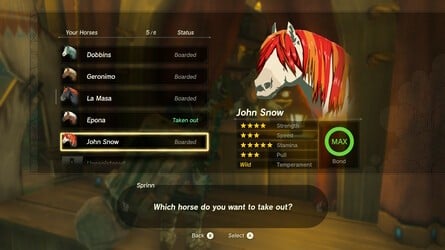 Zelda: Tears Of The Kingdom: Meilleurs chevaux