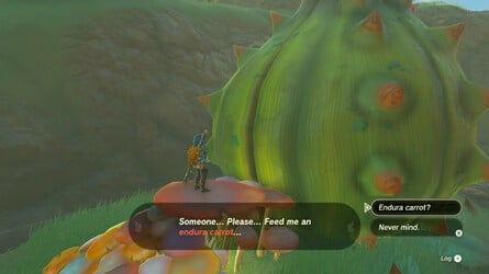 Zelda: Tears Of The Kingdom: Meilleurs chevaux