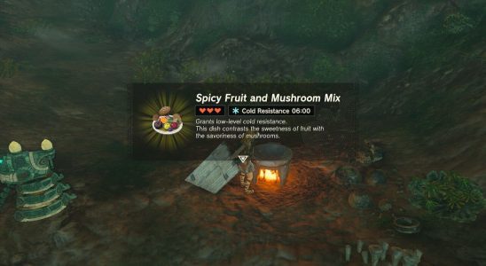 How to cook efficiently in Tears of the Kingdom