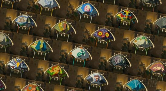 Zelda: Tears Of The Kingdom: Tous les tissus de parapente – Liste complète, emplacements, comment changer