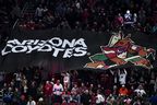 Les fans tiennent une bannière des Coyotes de l'Arizona dans les gradins lors d'un match de la LNH au Gila River Arena de Glendale, en Arizona. 